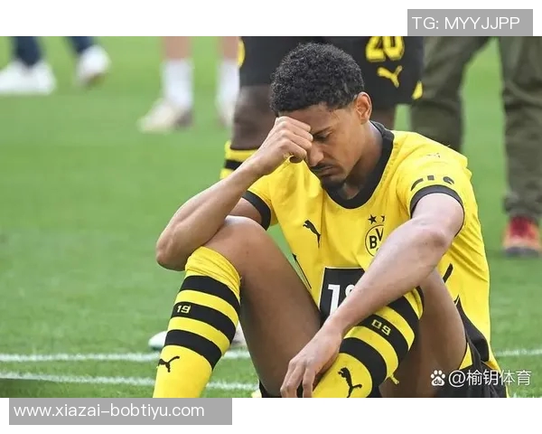 多特蒙德球员身价大幅波动阿德耶米领涨1500万欧元